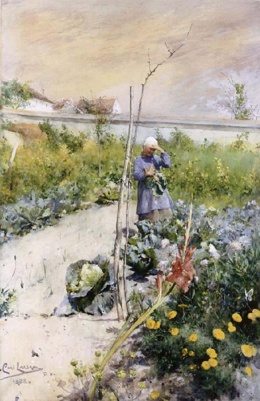 Carl Larsson IN Kokstradgarden oil painting picture